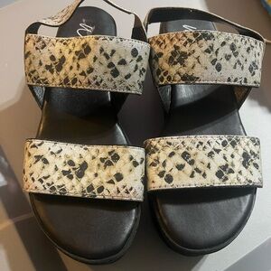 Wild pair printed platforms size 6.5